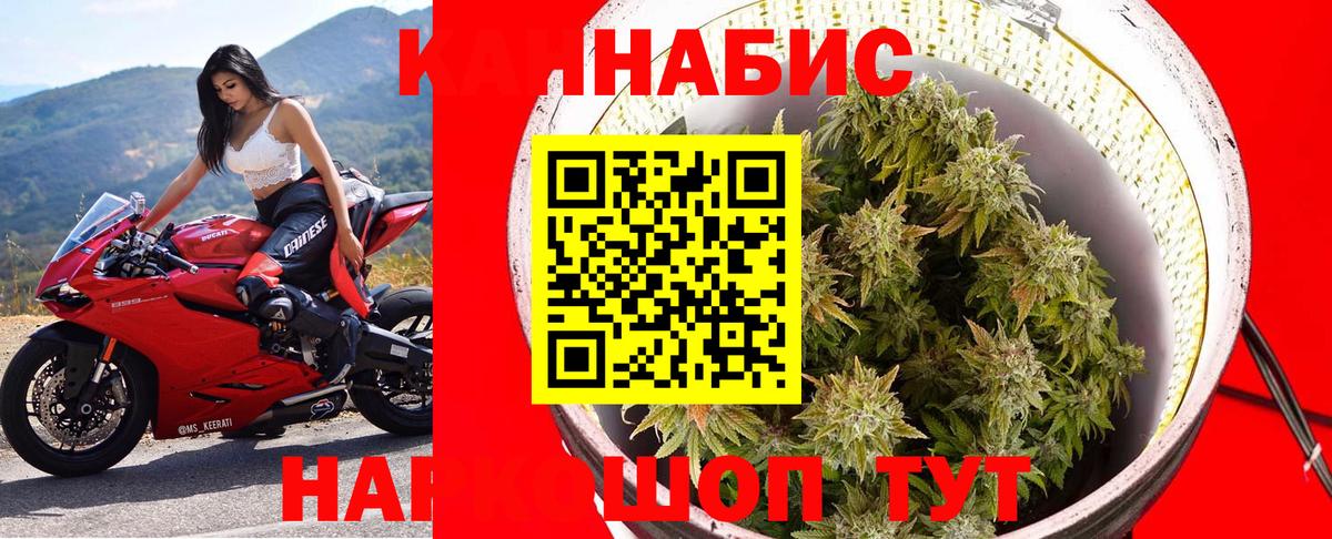 Конопля план  Вход с VPN  Чусовой  Канабис планчик 